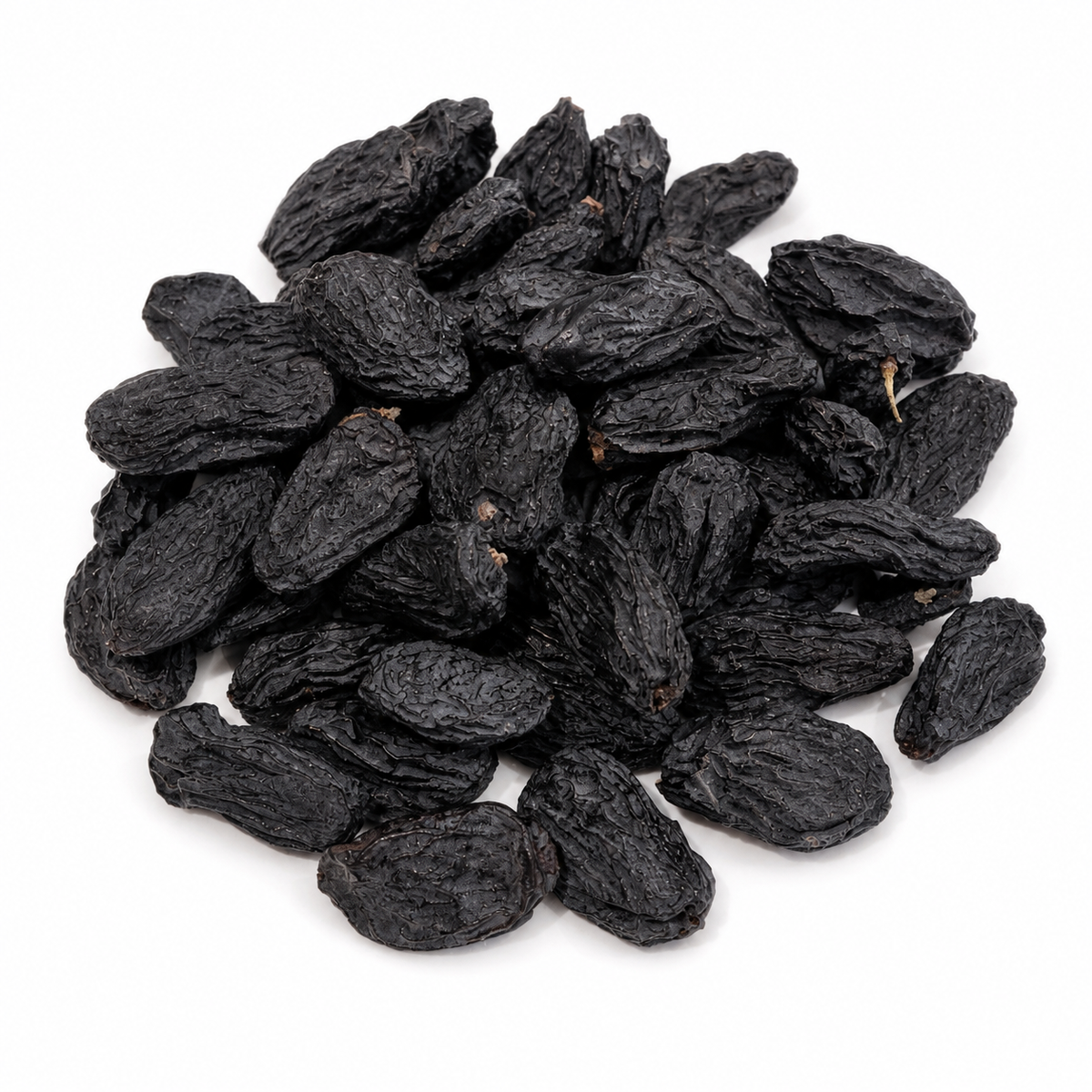 Russian Jumbo Black Currant